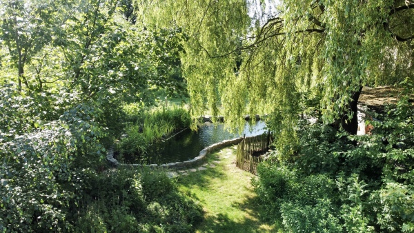Zwemvijver organische vorm