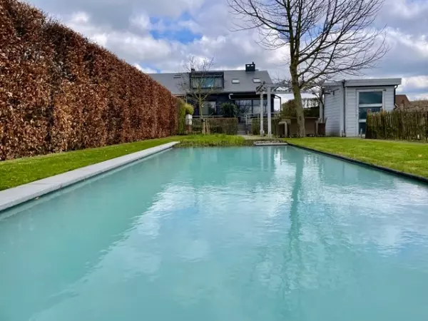 Zwemvijver rechthoekige vorm