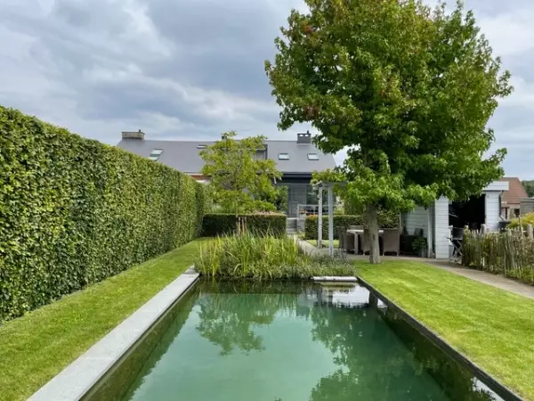 Zwemvijver rechthoekige vorm