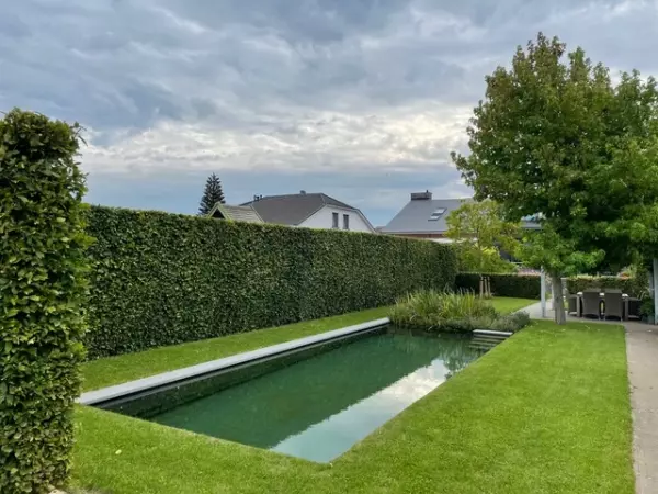 Zwemvijver rechthoekige vorm